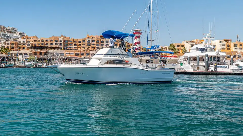 33' Owens fishing charter in Cabo San Lucas