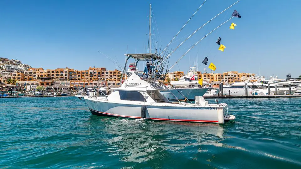 31' Bertram fishing charter in Cabo San Lucas