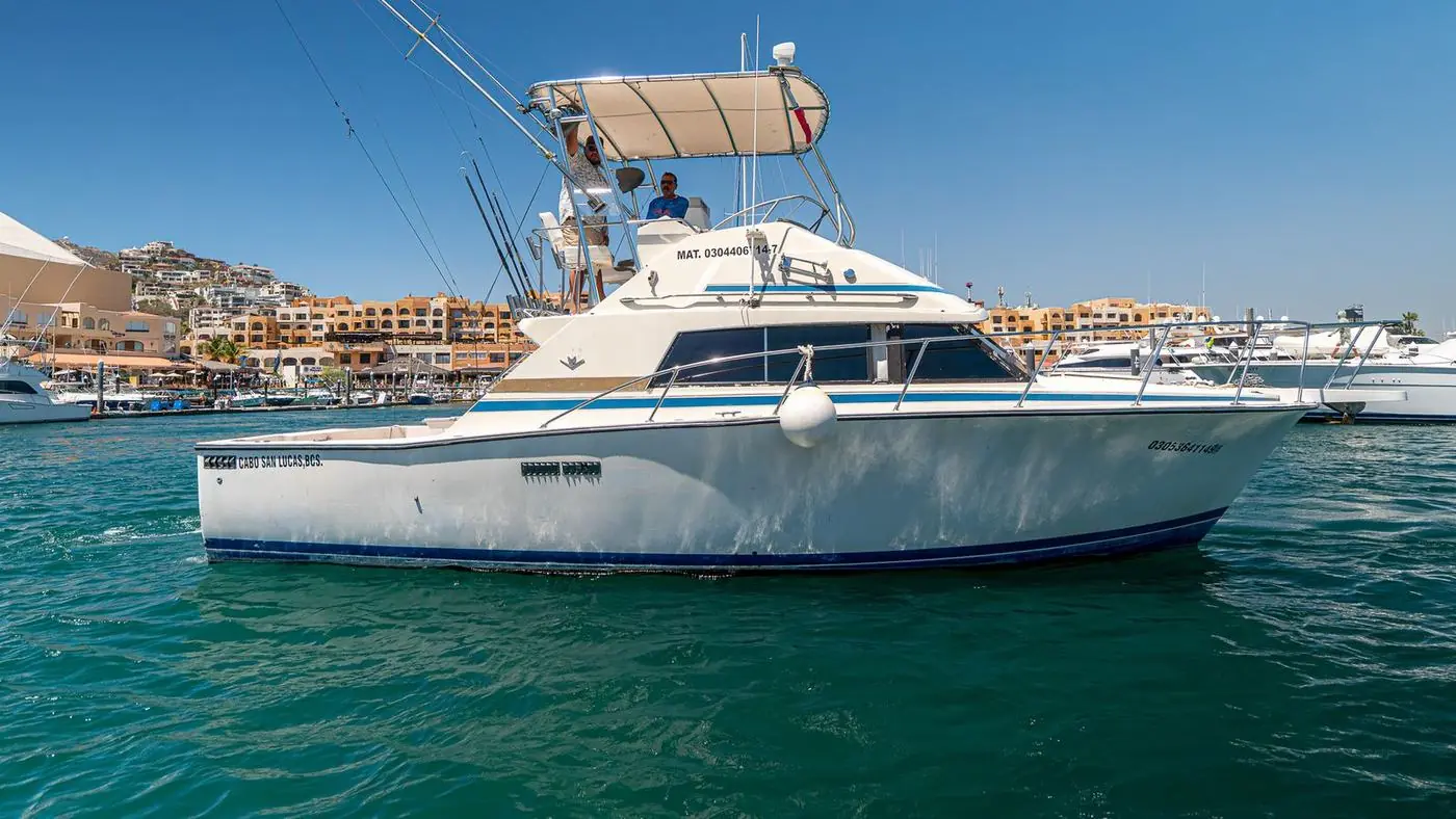 35' Bertram · Side