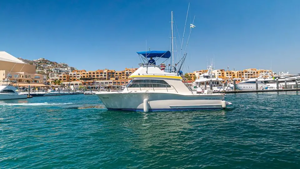 35' Owens fishing charter in Cabo San Lucas