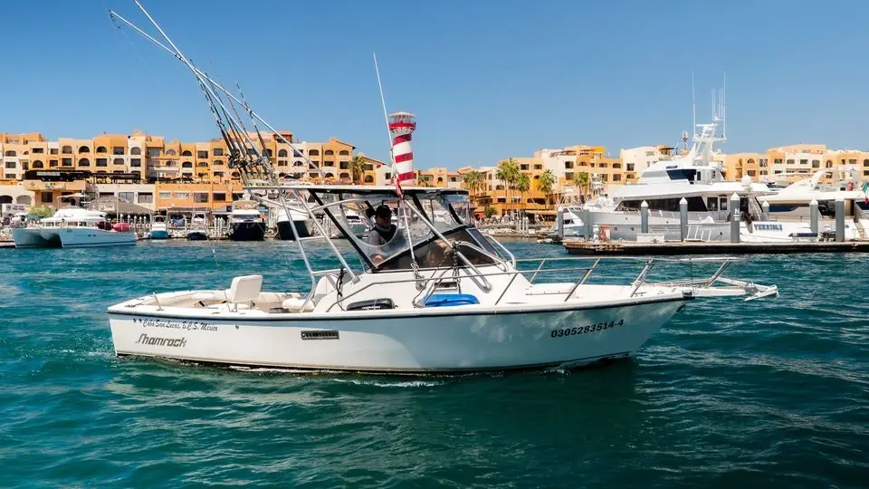 26' Shamrock fishing charter in Cabo San Lucas