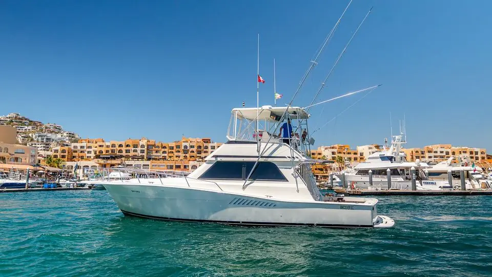 44' Viking fishing charter in Cabo San Lucas