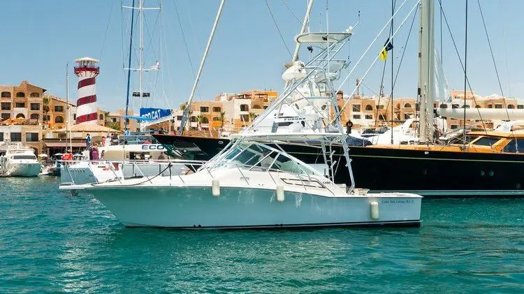 33' CABO Express fishing charter in Cabo San Lucas