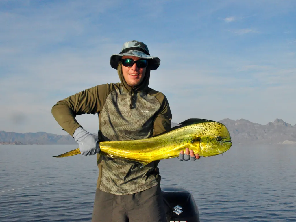 Dorado, foto 4 (MX)
