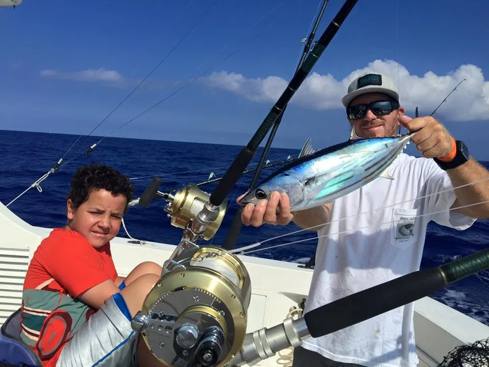 Skipjack tuna, photo 4