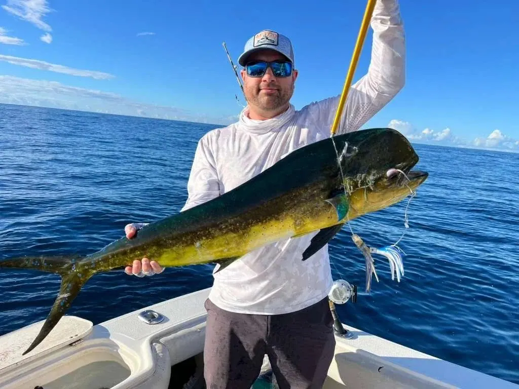 Dorado · Top Anglers guests in Cabo San Lucas