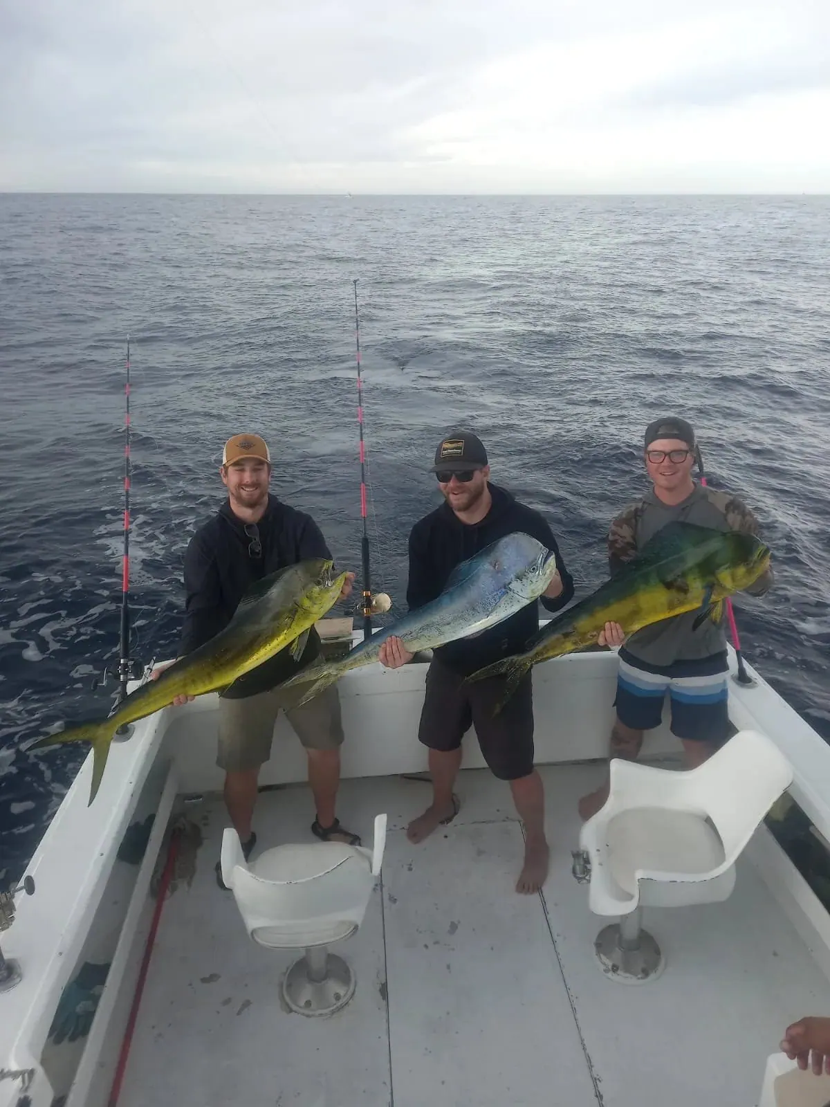 Three anglers with dorado, February 2026