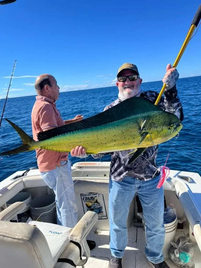 Dorado · Top Anglers guests in Cabo San Lucas