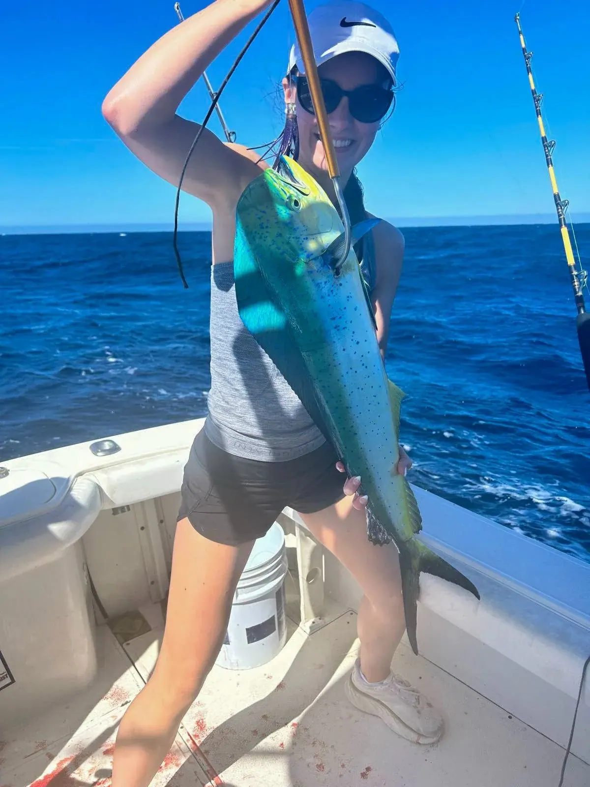 Dorado · Top Anglers guests in Cabo San Lucas
