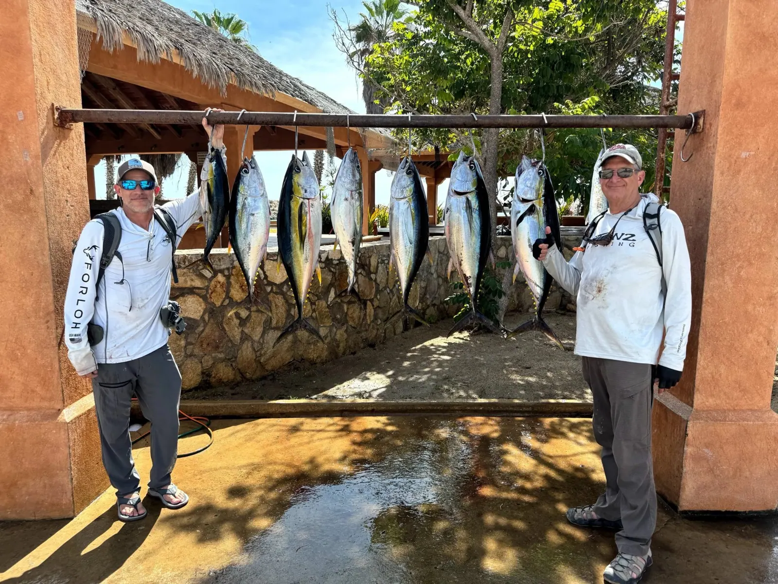 Foto de Los Cabos Fishing Report – November 2025 (noviembre de 2025)