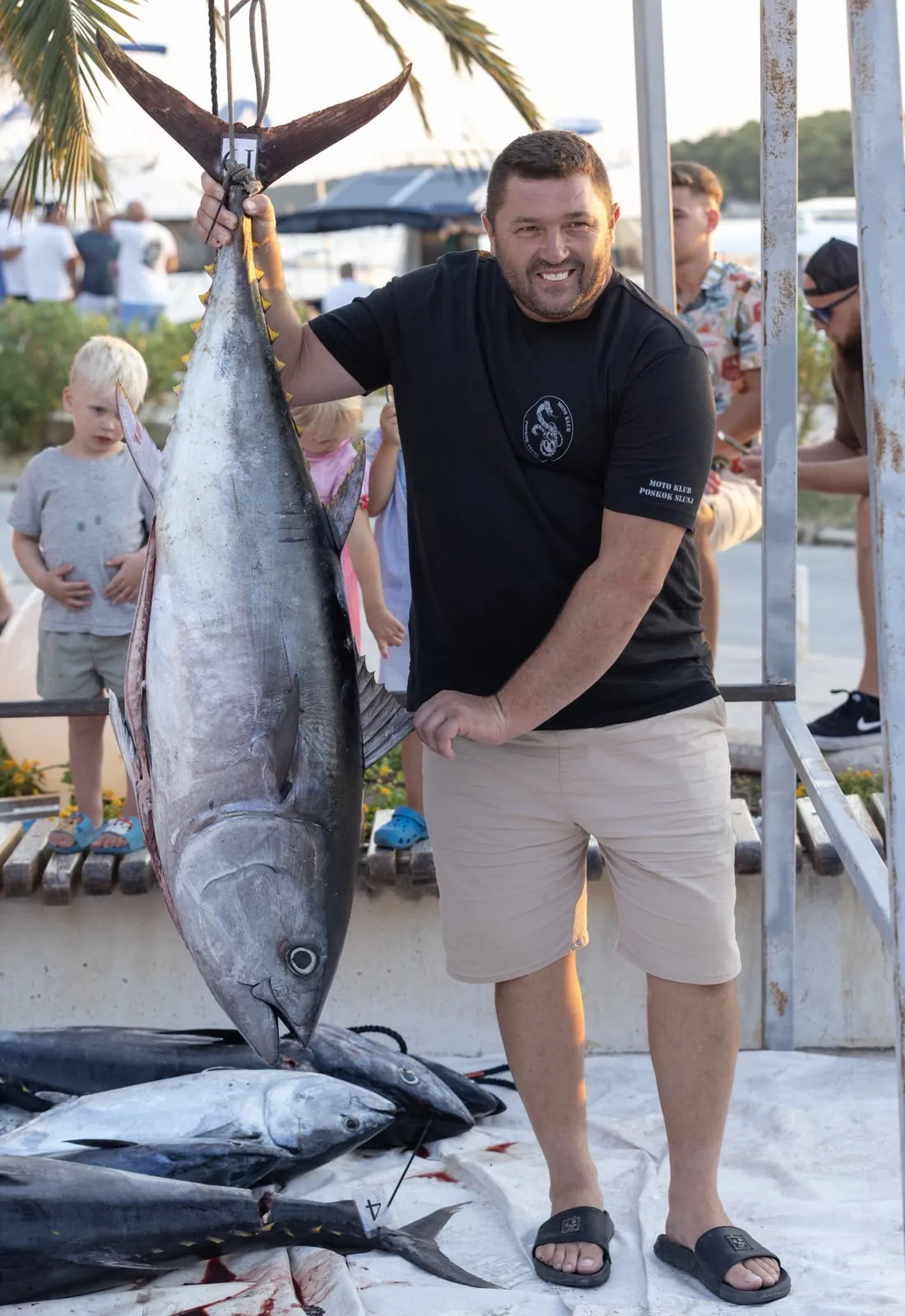 A tuna at the weigh station in Rogoznica