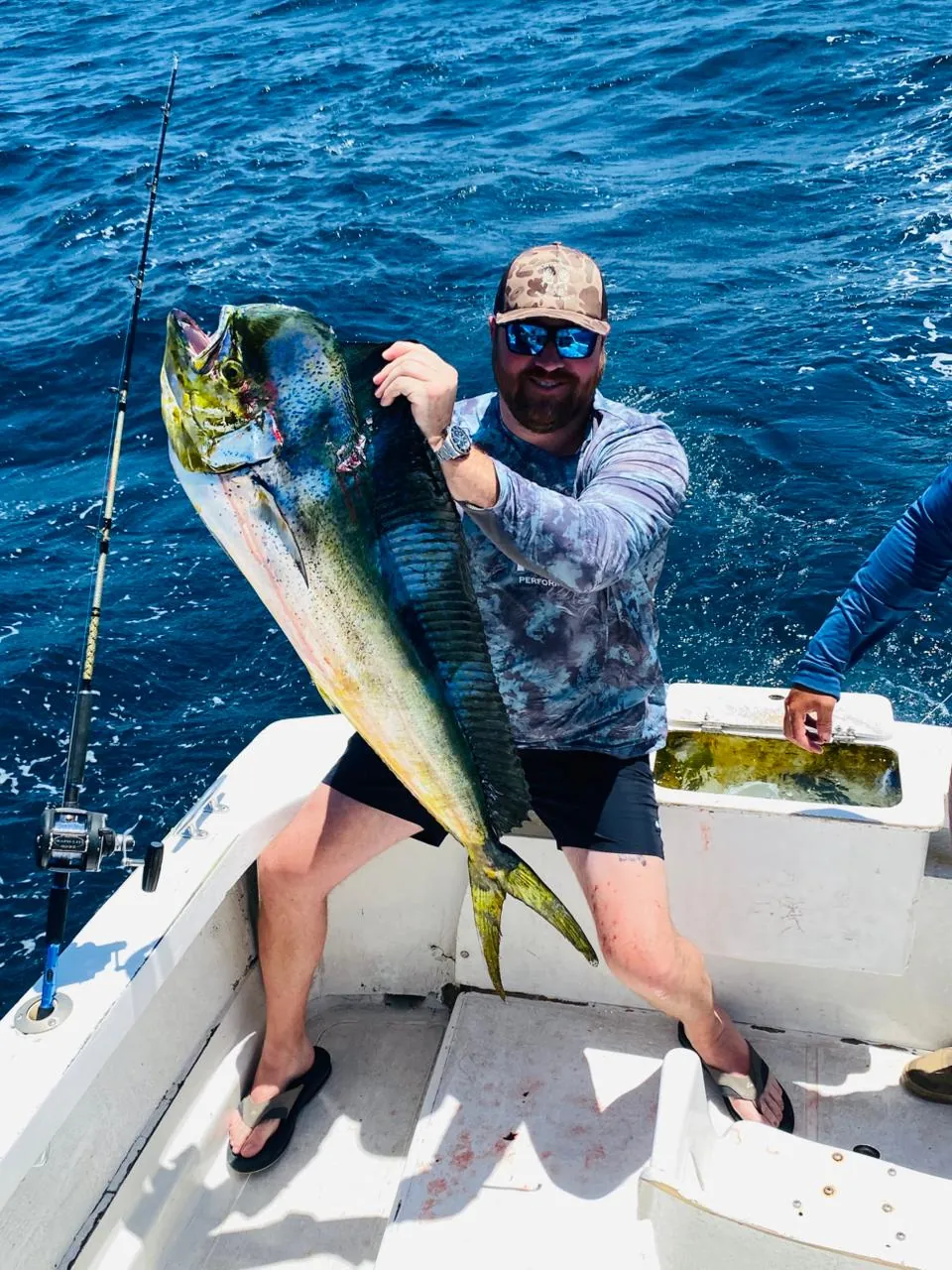 Angler holding a big dorado on the deck, late June 2026