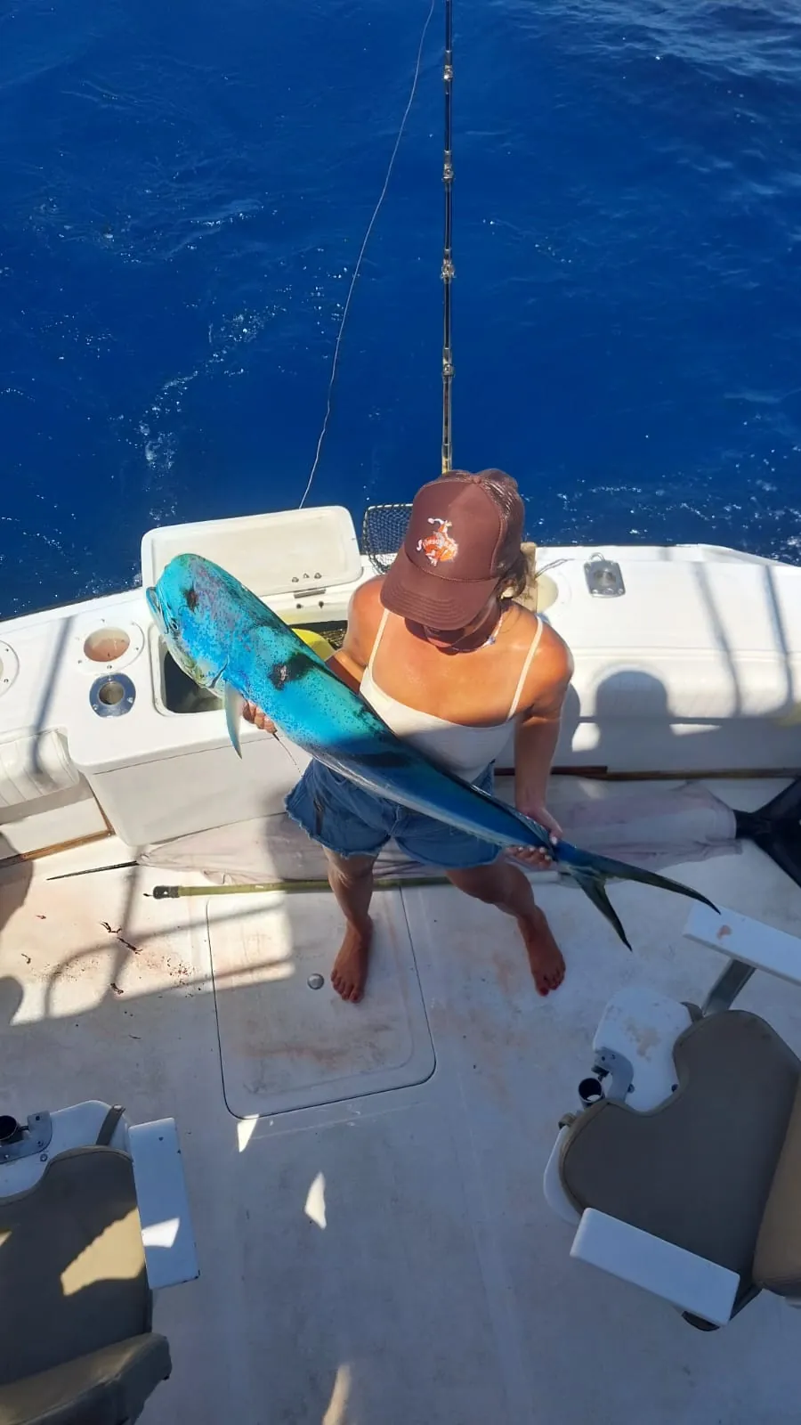 Dorado caught offshore of Cabo San Lucas, September 2026